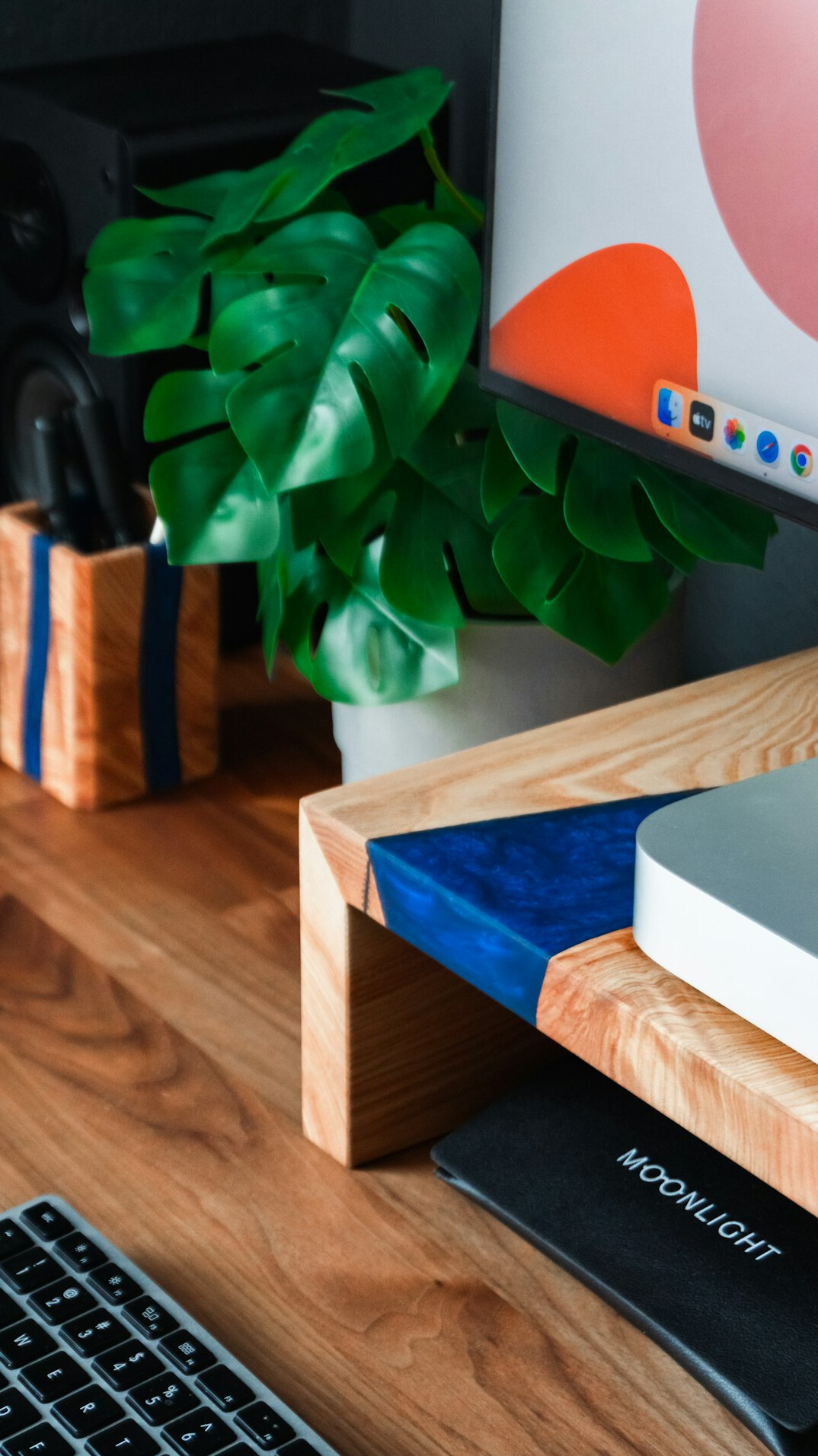 Bright home office desk with laptop, plant and programming books